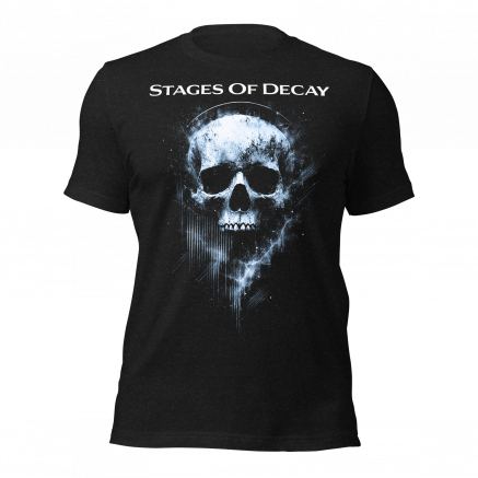 Stages Of Decay Fractal Skull Shirt